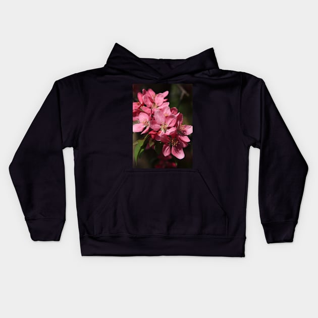 Crab Apple Blossoms Kids Hoodie by lyle58